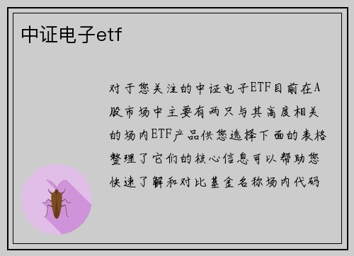 中证电子etf